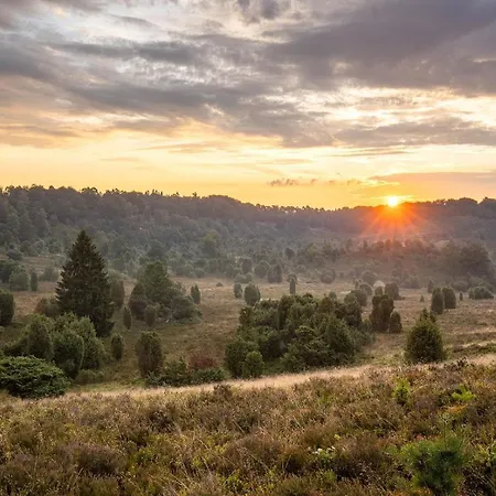 Дом отдыха Heidehof Oberhaverbeck