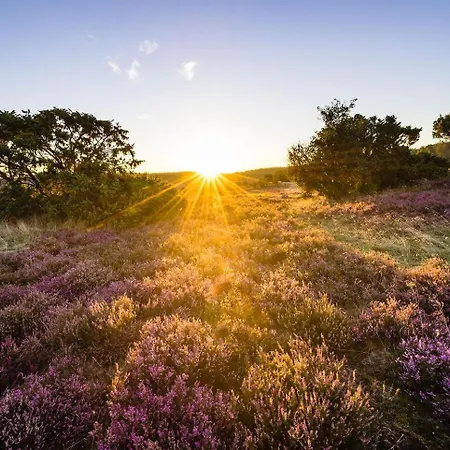 Heidehof Oberhaverbeck