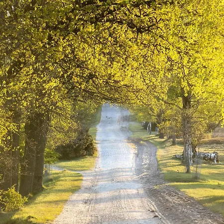 Heidehof Oberhaverbeck Дом отдыха *