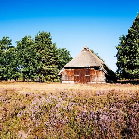 Дом отдыха Heidehof Oberhaverbeck Биспинген
