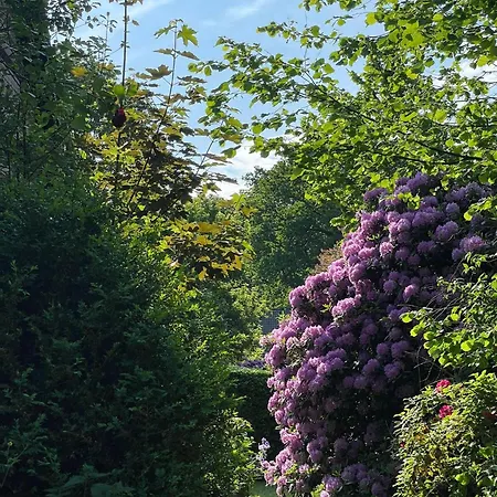 Дом отдыха Heidehof Oberhaverbeck