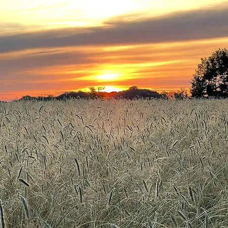 Heidehof Oberhaverbeck *