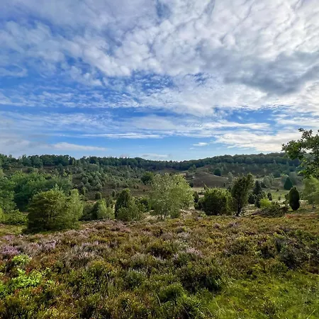 Дом отдыха Heidehof Oberhaverbeck