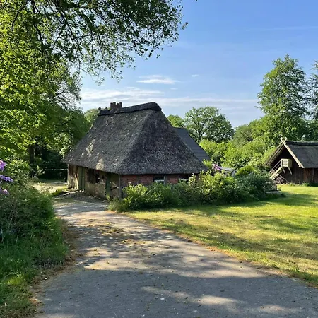 Heidehof Oberhaverbeck Holiday home *